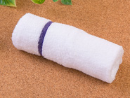 清拭レギュラータオル上用